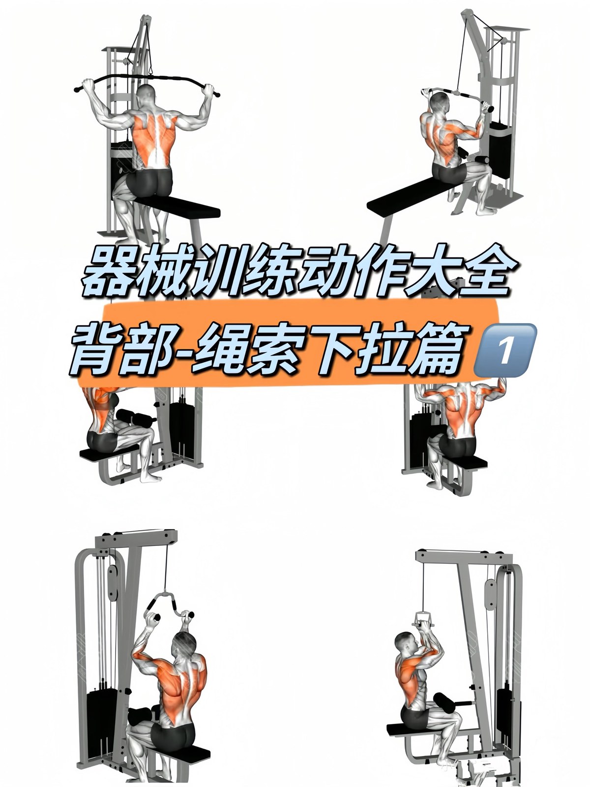 如何利用力量训练提高篮球运动员的弹跳力?_2